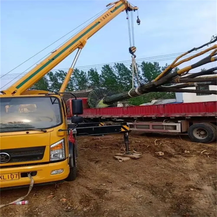 江夏100吨吊车租赁费用怎么算？3大关键因素+省钱技巧全解析